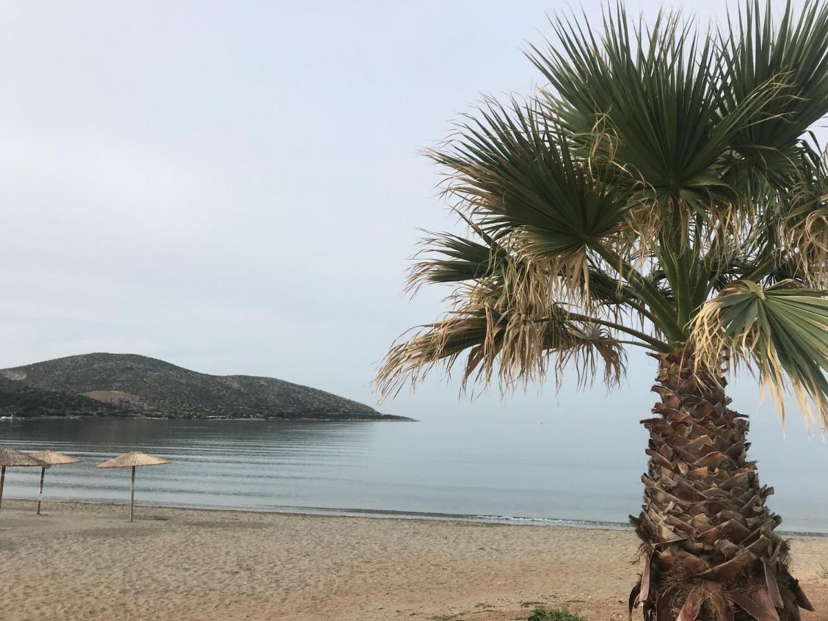 אנביסוס Cosy Studio 2 Minutes Walking From The Beach מראה חיצוני תמונה